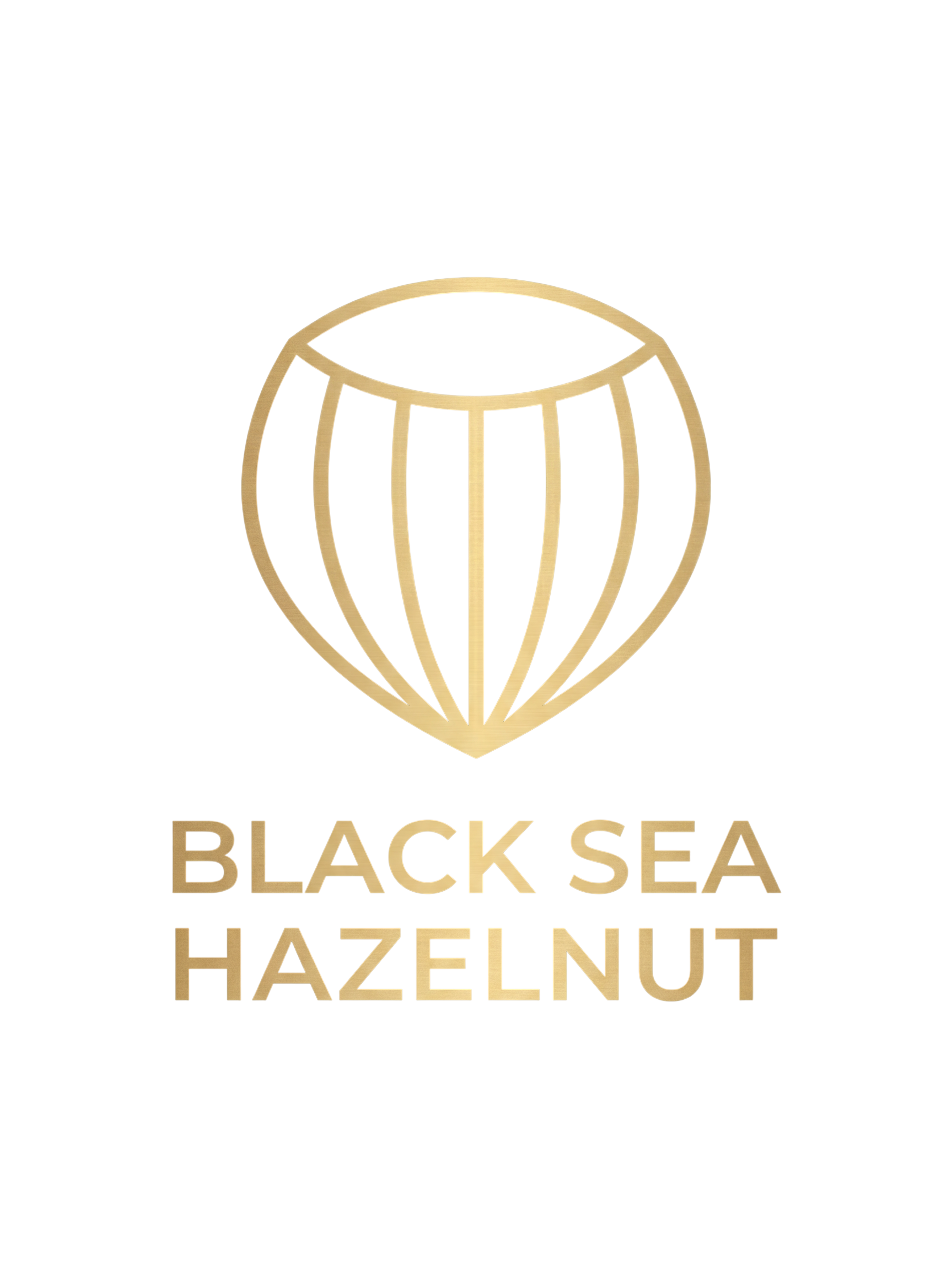 Black Sea Hazelnut logo